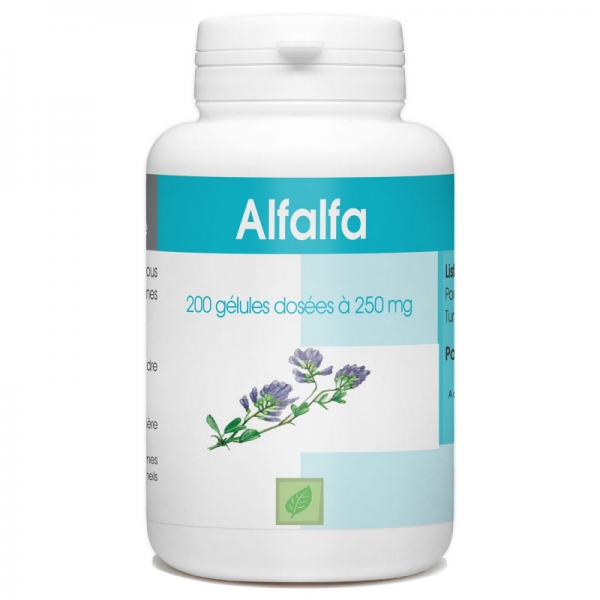 Phytothérapie Alfalfa 200 gelules GPH